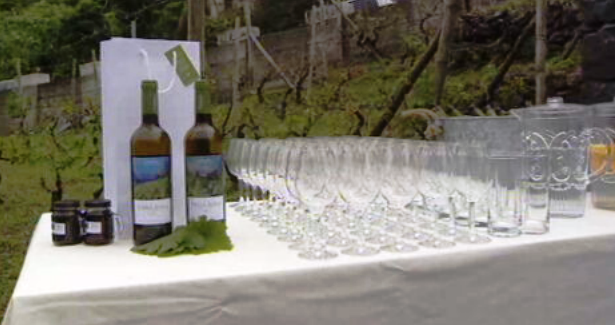 Vinho madeirense “Terra Bona”