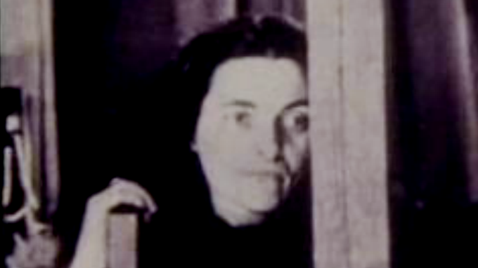 Vieira da Silva: Retrato