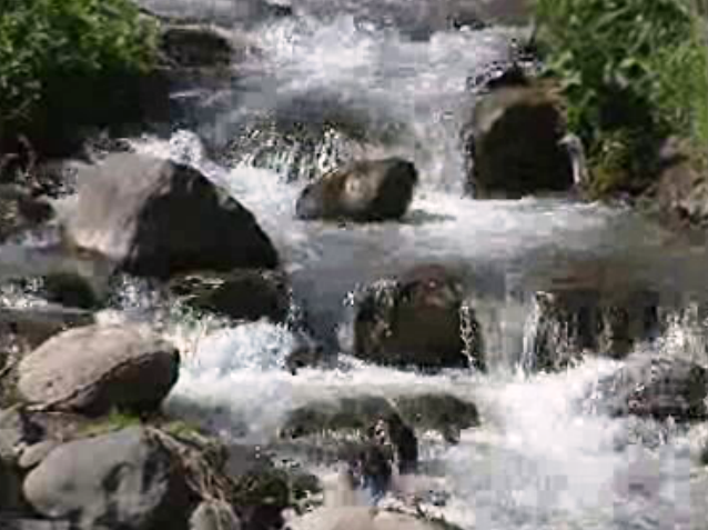 Produção de lixo e consumo de água na Madeira