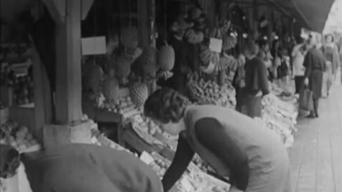 Custo dos alimentos e defesa do consumidor