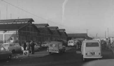 Circuito da fruta no Mercado abastecedor de Lisboa