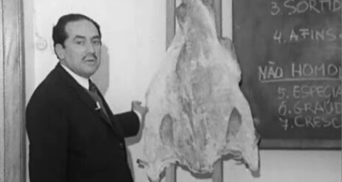 Comercialização de bacalhau