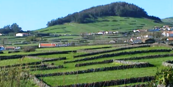 Turismo rural na Terceira