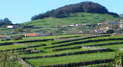 Turismo rural na Terceira