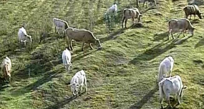 Repórteres – Parte I