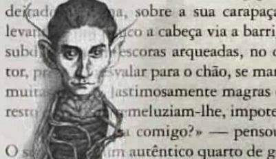 Metamorfose &#8211; O Livro de Valter Hugo Mãe