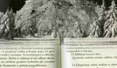 Um Piano Para Cavalos Altos