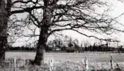 O Teu Rosto Será o Último