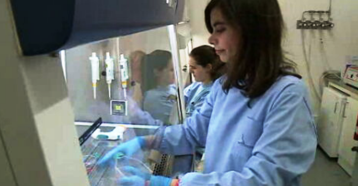 Mulheres investigadoras premiadas na Ciência