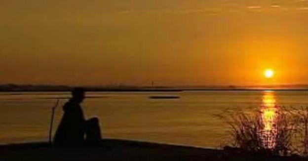 Regresso às Origens