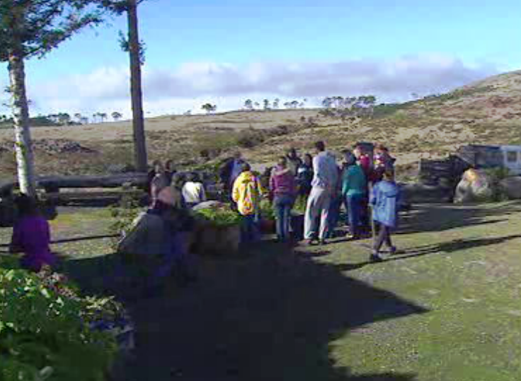 Reflorestação no Cabeça da Lenha