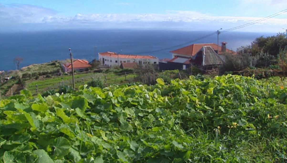 Criação de reserva agrícola