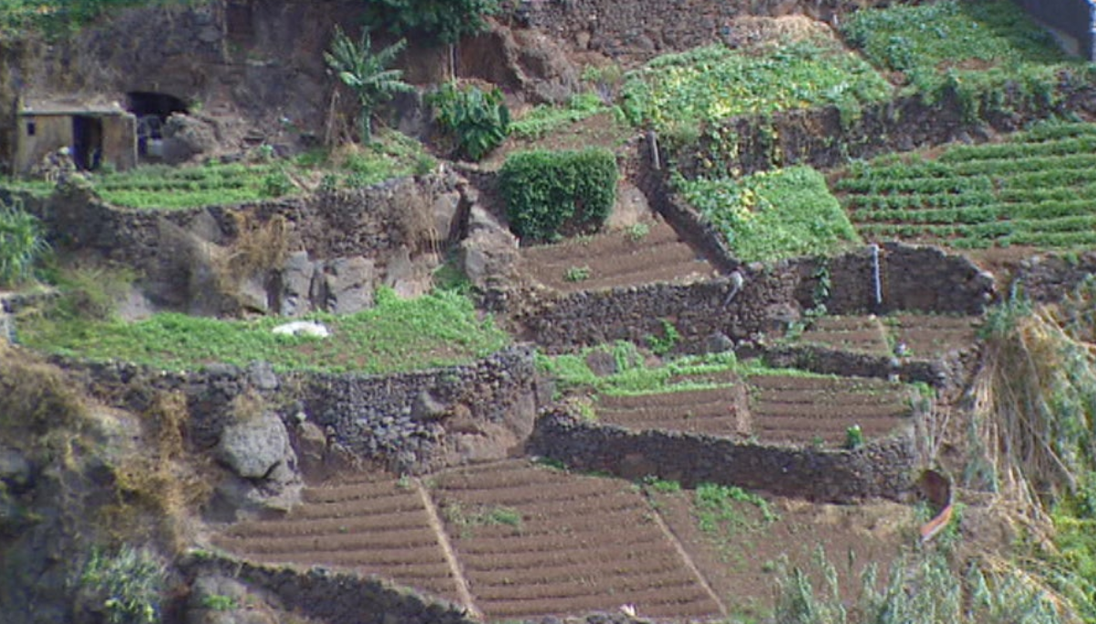 Extinção da delegação do IFA