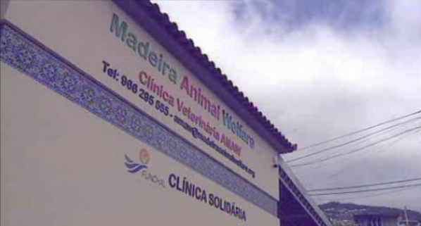 Esterilização animal