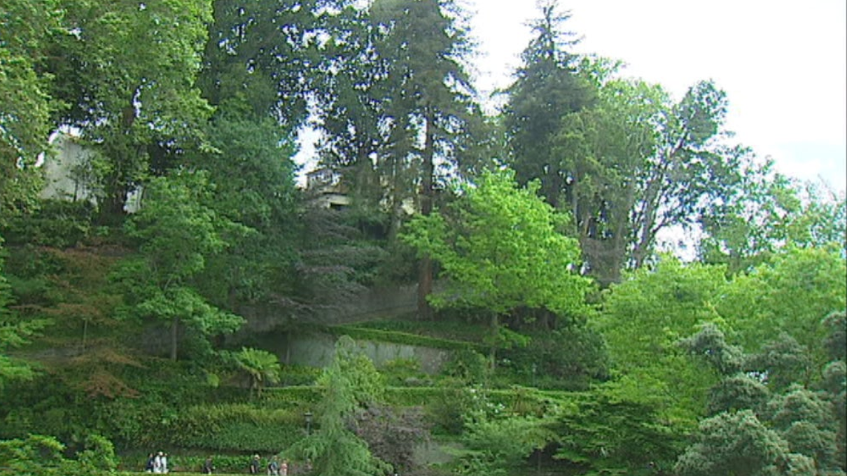 Avaliação fitossanitária