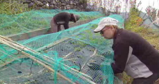 Projetos de agricultura biológica