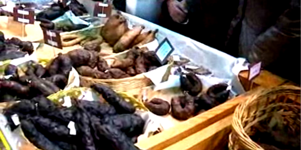 Feira de Sabores em Chaves