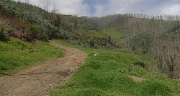 Prevenção dos incêndios