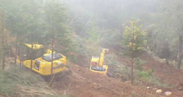 Limpeza florestal no Montado do Pereiro