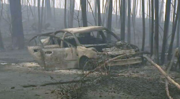 Auditoria aos incêndios em Pedrógão Grande