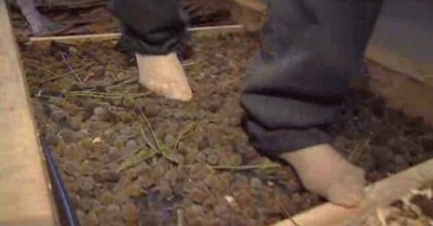 Visita ao parque ecológico do Funchal