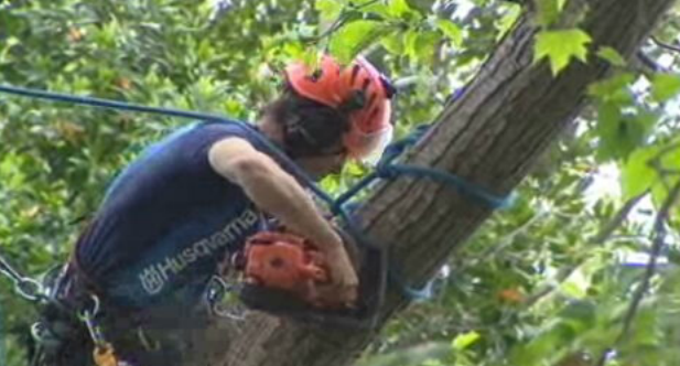 Intervenção no no Largo da Fonte