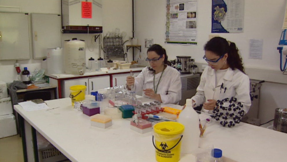 Apoio financeiro à Universidade da Madeira