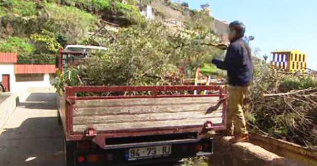 Recolha de 600 toneladas de biomassa