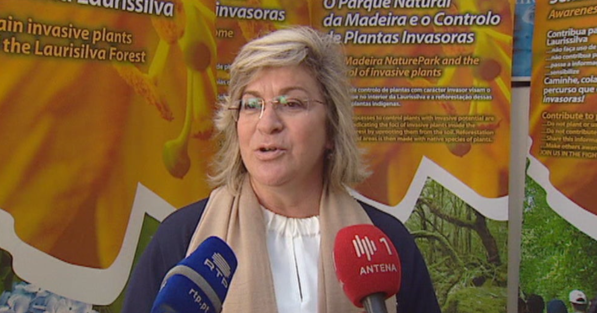 Ação informativa sobre Emprego