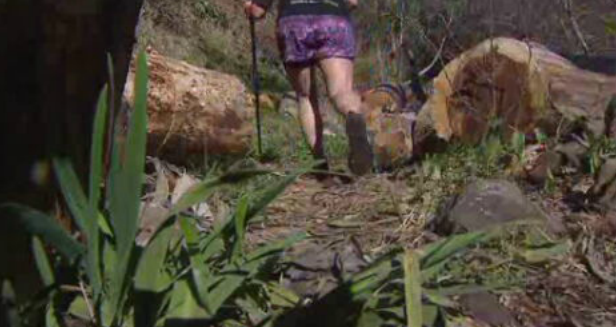 Trail Km Vertical de Câmara de Lobos