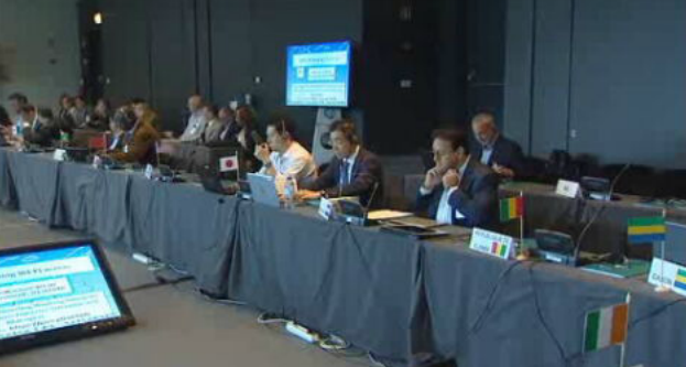 Conservação dos tunídeos do Atlântico