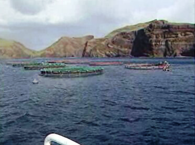 Aquacultura na Madeira