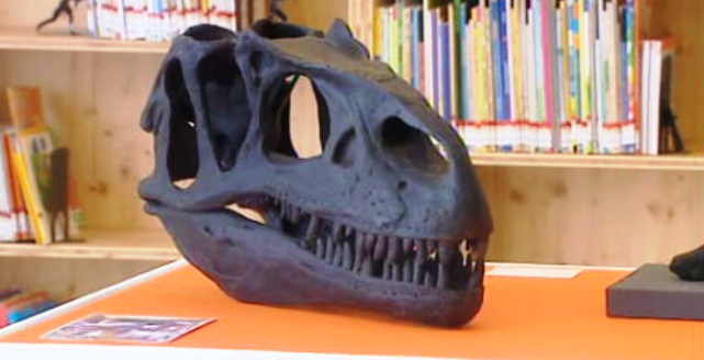 Exposição de fósseis de dinossauros