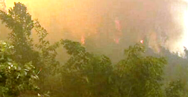 Julgamento de incendiário na Madeira