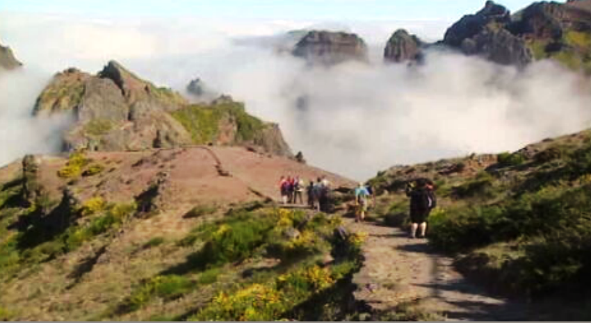 Taxas na Natureza proibidas