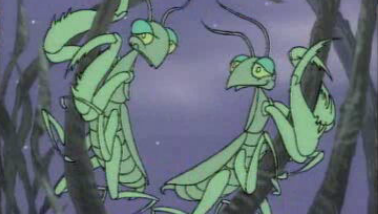 Transsexualidade – Parte II