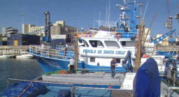 Atuneiros no mar no Caniçal