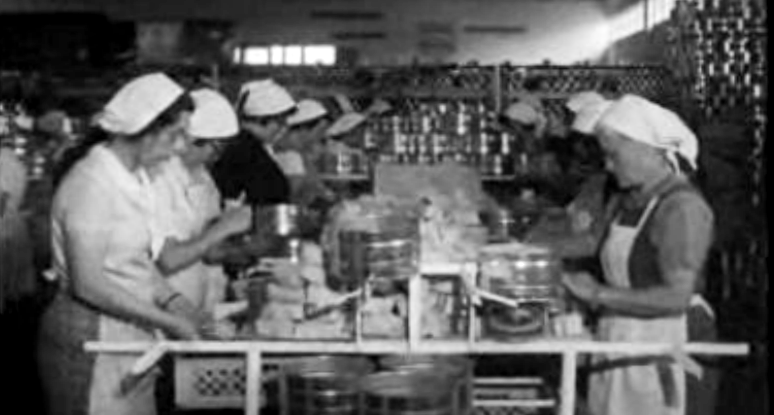 A Promoção da Mulher: Açores – Parte II