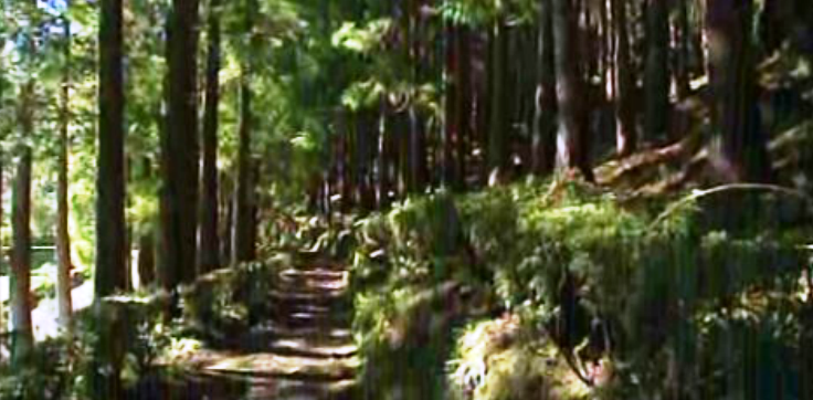 Abertura do Centro Ambiental do Priolo