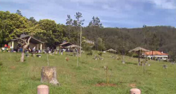 Desemprego na Madeira