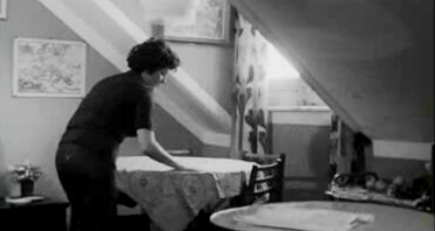 Pequeno Diário de uma Dona de Casa