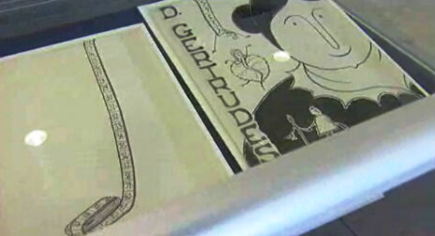 Doação de Maria do Carmo Rodrigues