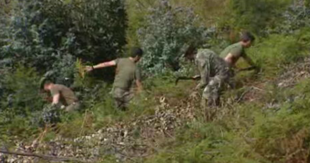 Prevenção aos incêndios