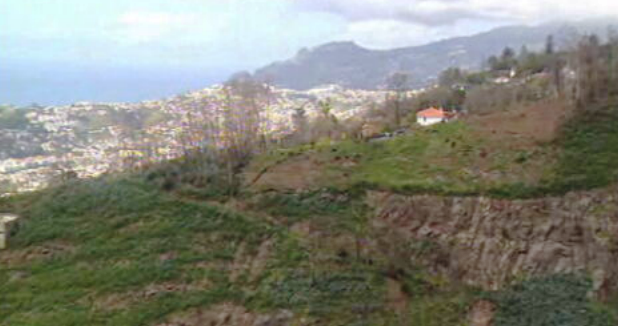 Ordenamento florestal