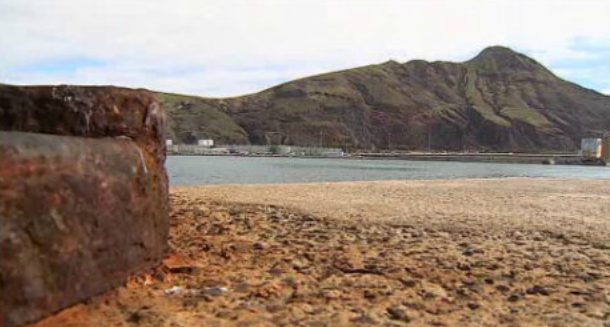 Produção de microalgas marinhas