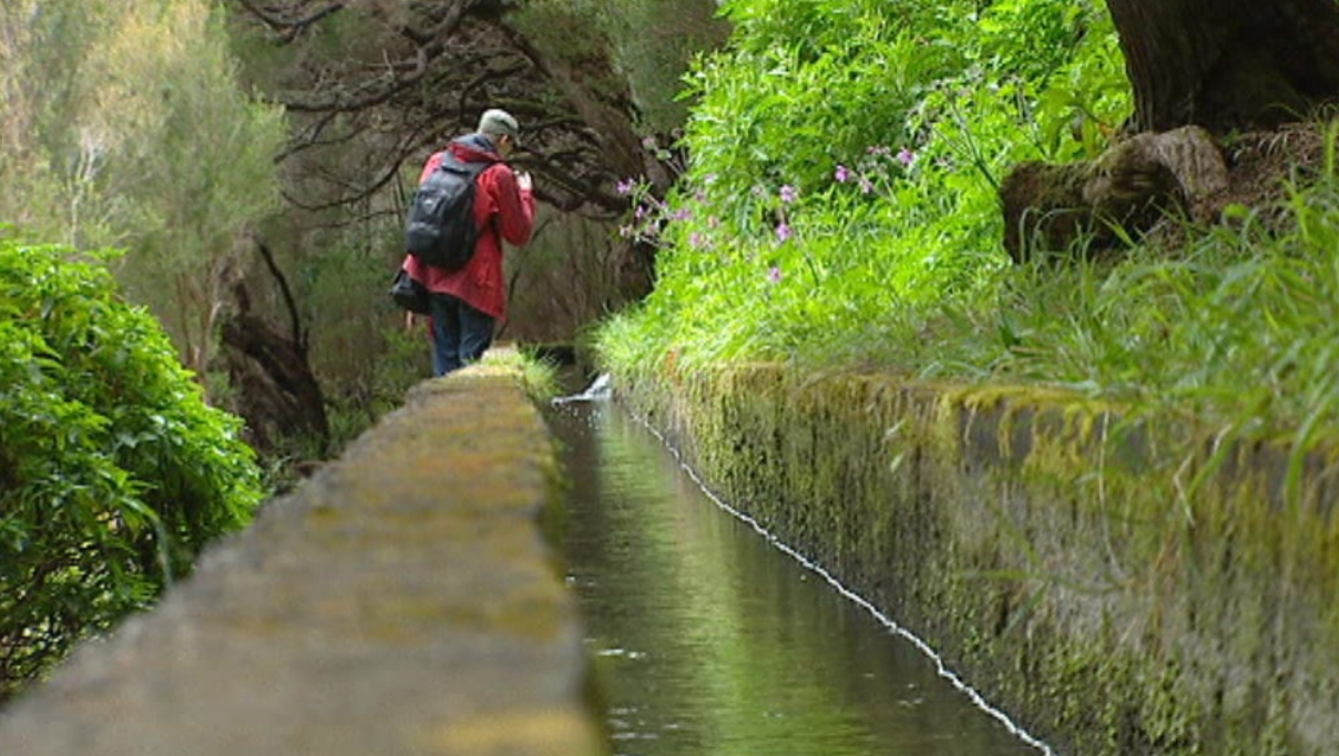 Morte de turista na Madeira