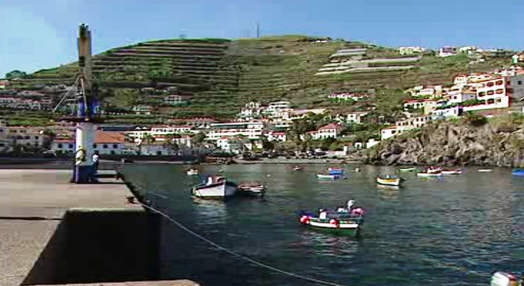 CDS/PP-Madeira alerta para crise no setor das pescas