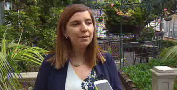 Reunião do PSD com grupos culturais madeirenses