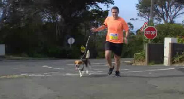 “Dog Trail” de Machico