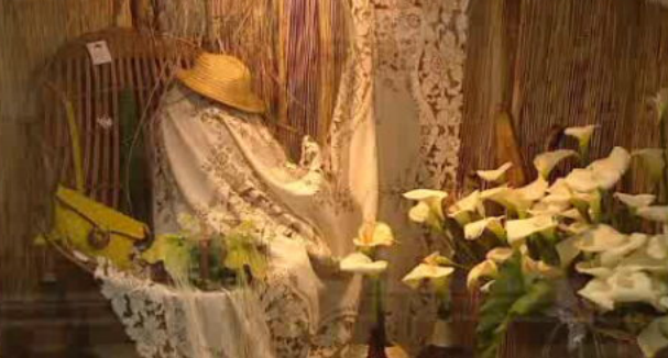 Concurso de vitrinismo